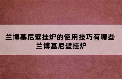 兰博基尼壁挂炉的使用技巧有哪些 兰博基尼壁挂炉